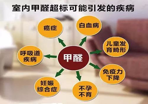武漢加蒂斯